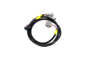 NEW - AEM CD Display YXZ1000 PNP Loom